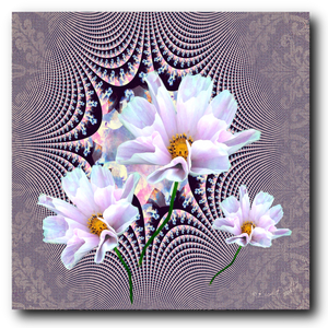 Lavender Beauties - Canvas Print