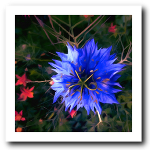 Starburst - Art Print