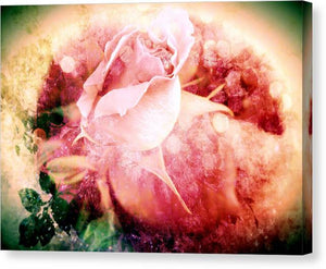 The Rainbow Rose - Canvas Print