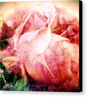 The Rainbow Rose - Canvas Print