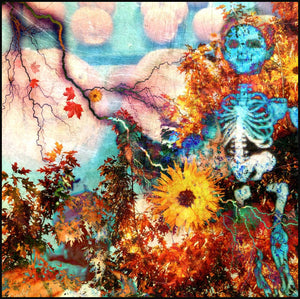 Trick or Treat - Tote Bag - Lisa Dailey Black Cat Art & Design