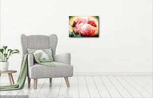 The Rainbow Rose - Canvas Print