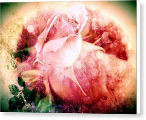 The Rainbow Rose - Canvas Print