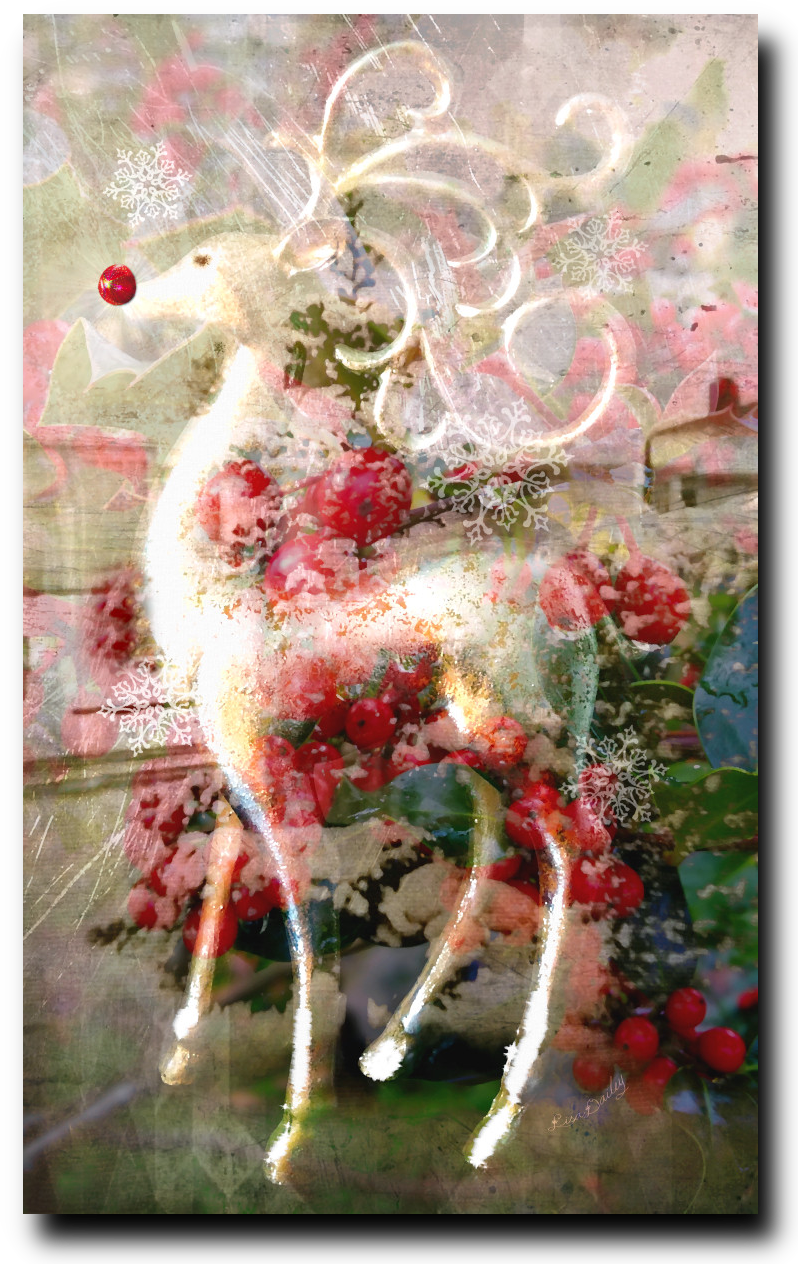 Joy of the Season - Canvas Print