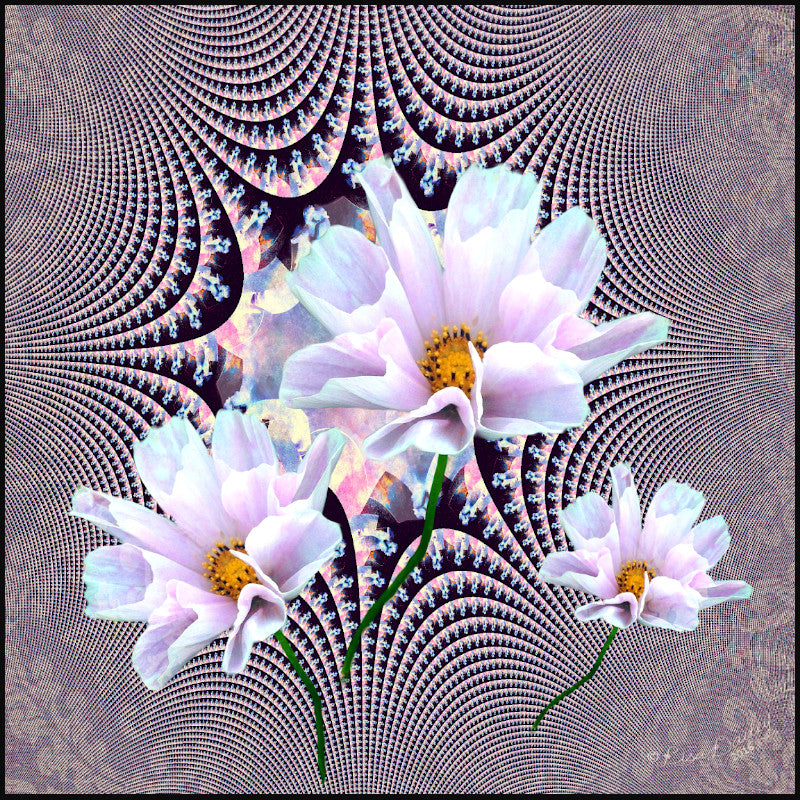 Lavender Beauties - Tote Bag - Lisa Dailey Black Cat Art & Design