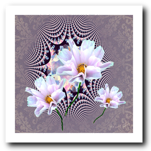 Lavender Beauties - Art Print