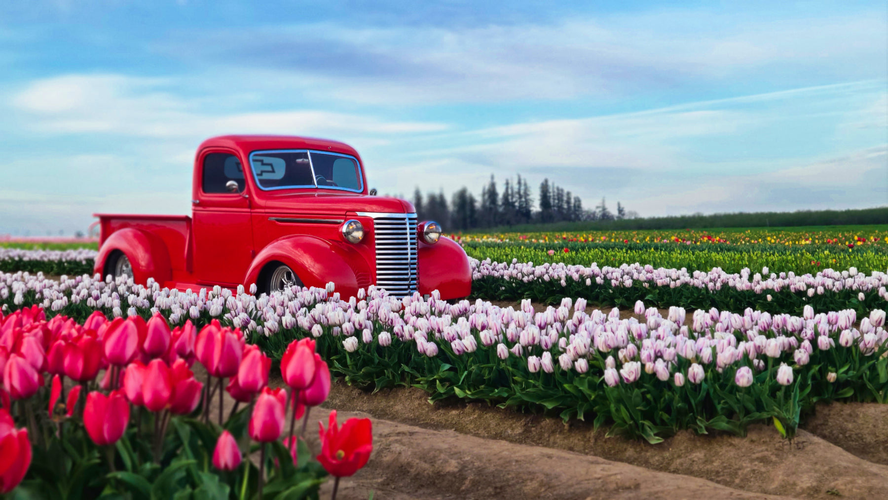 Picture Perfect Chevy - Canvas and Paper Prints