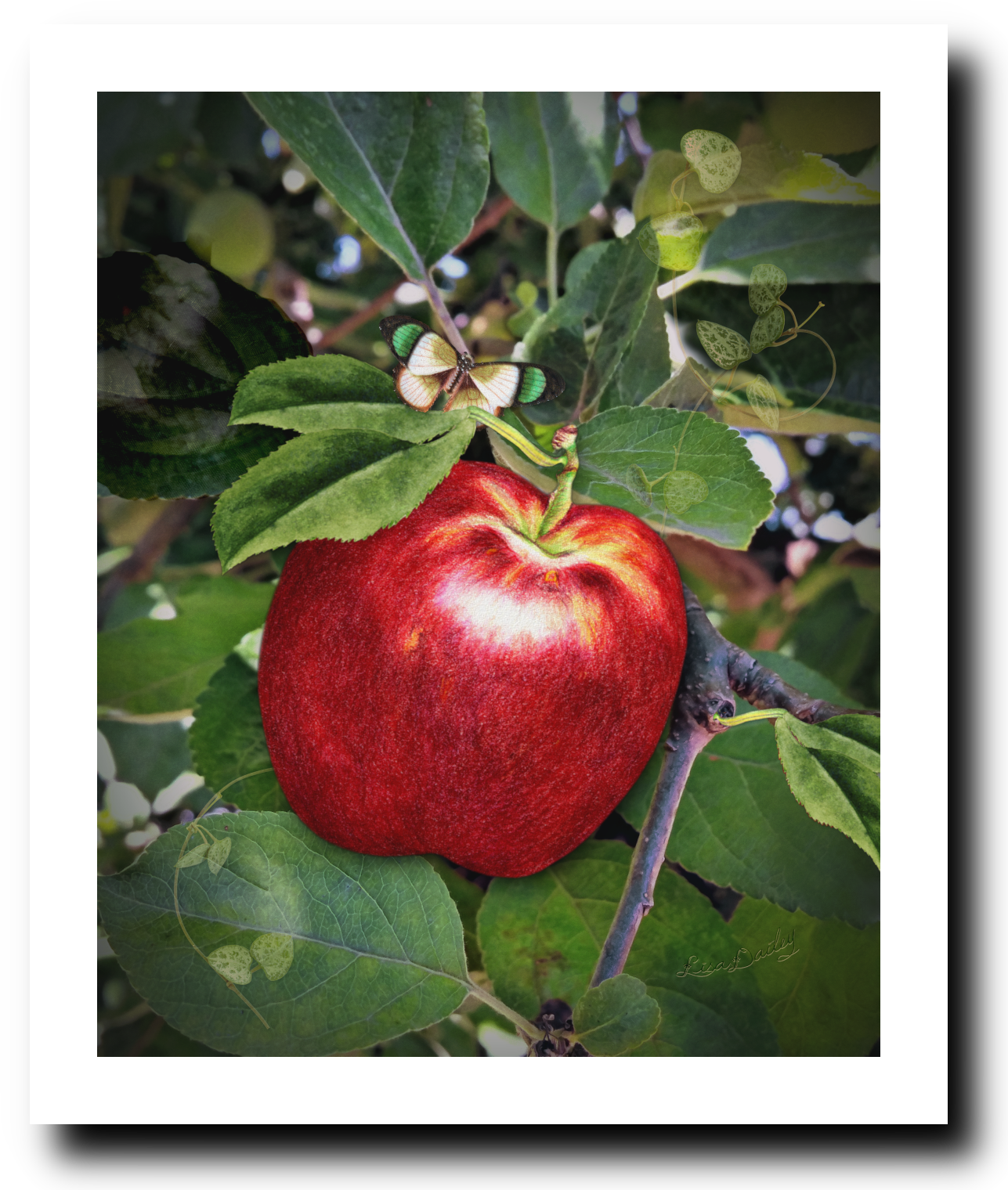 Red and Delicious - Art Print