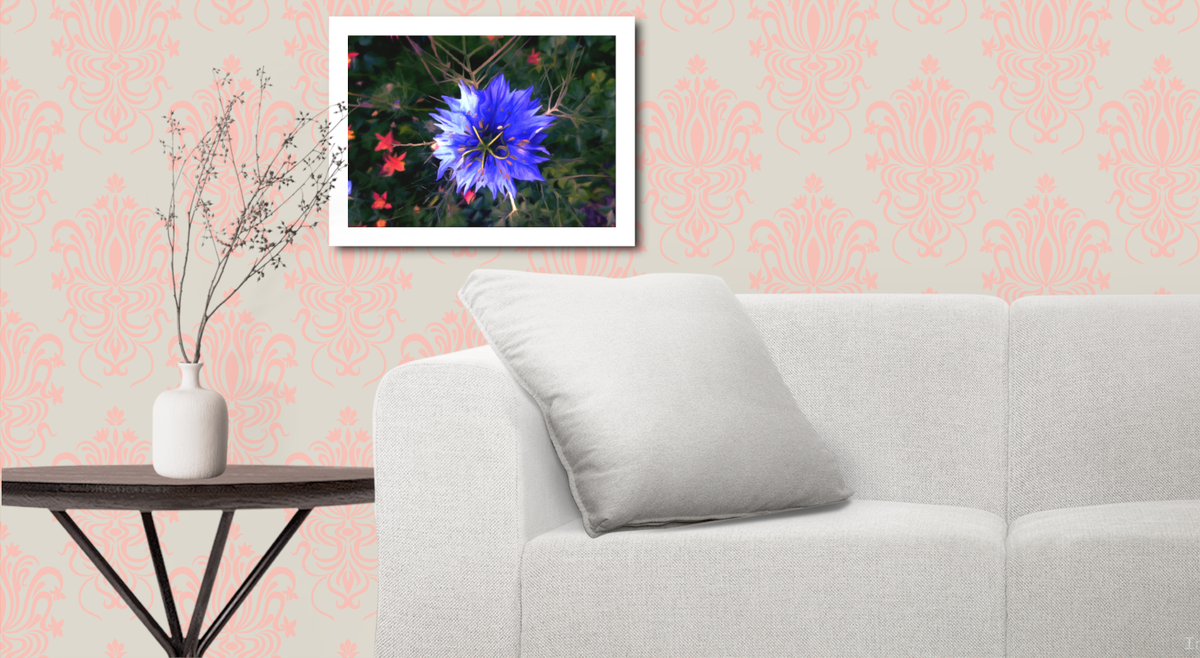 Starburst - Art Print