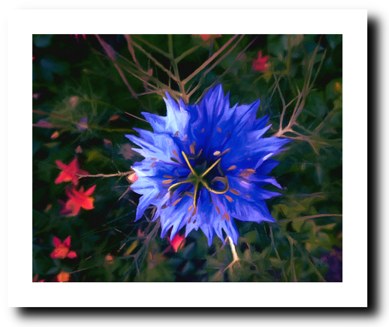 Starburst - Art Print