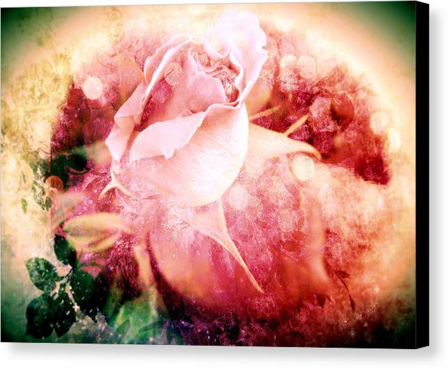 The Rainbow Rose - Canvas Print