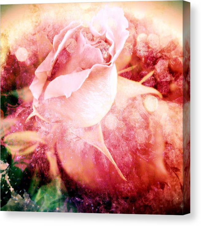 The Rainbow Rose - Canvas Print