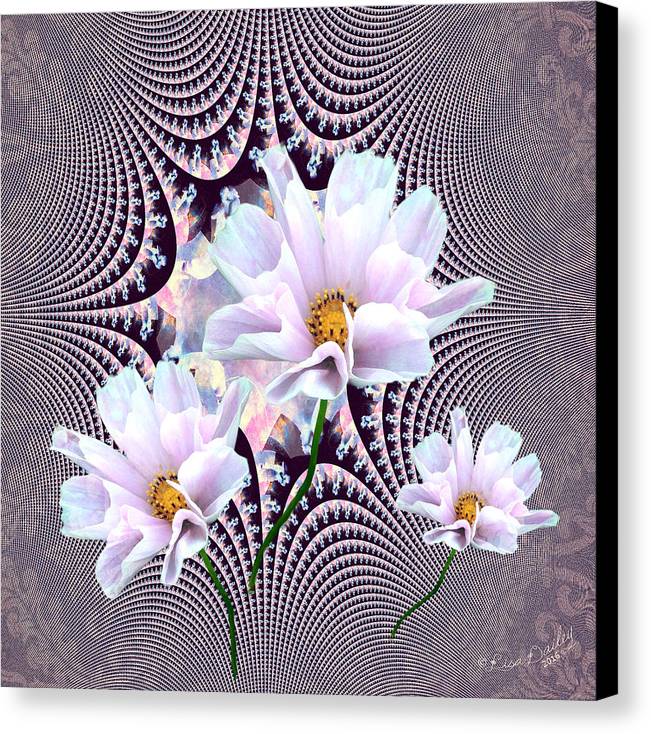 Lavender Beauties - Canvas Print