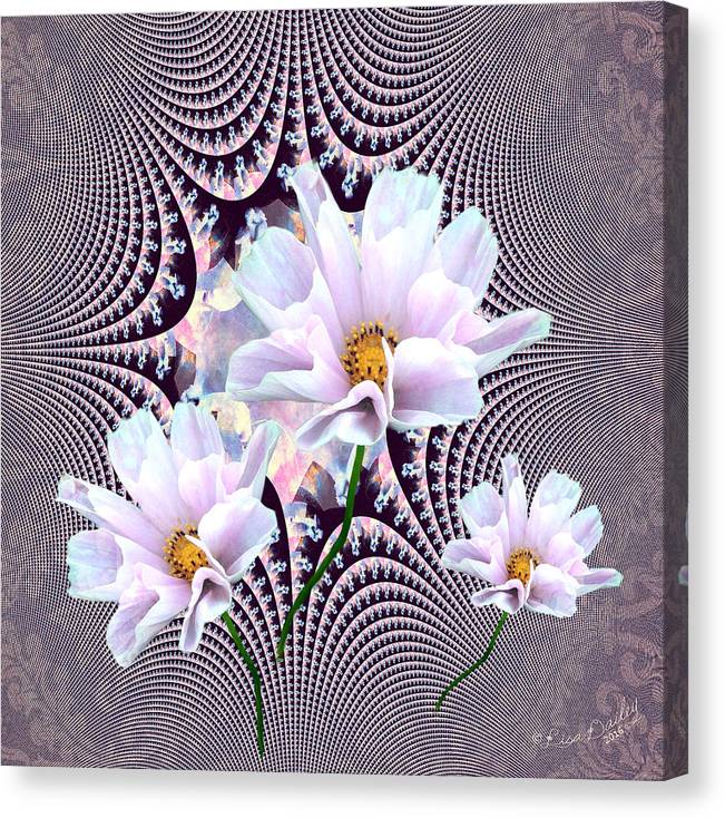 Lavender Beauties - Canvas Print