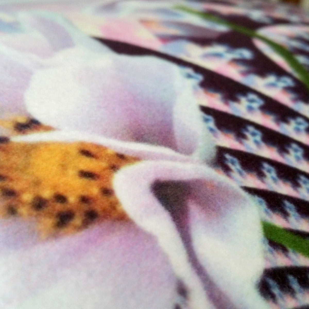 Lavender Beauties - Throw Pillow - Lisa Dailey Black Cat Art & Design